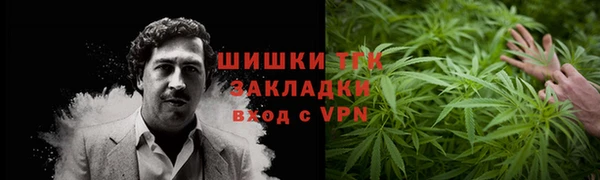 ПСИЛОЦИБИНОВЫЕ ГРИБЫ Вязьма