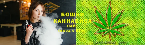 ПСИЛОЦИБИНОВЫЕ ГРИБЫ Вязьма