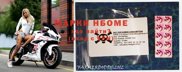 ПСИЛОЦИБИНОВЫЕ ГРИБЫ Вязьма