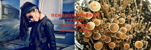 ПСИЛОЦИБИНОВЫЕ ГРИБЫ Вязьма