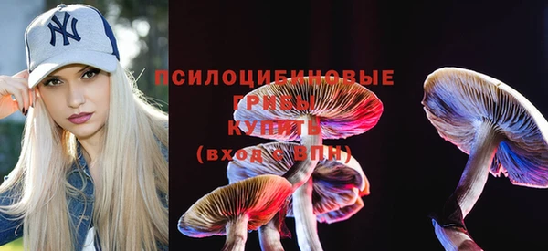 ПСИЛОЦИБИНОВЫЕ ГРИБЫ Вязьма